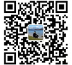 手機(jī)二維碼